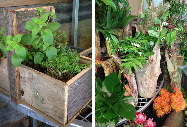 Recycled timber herb boxes