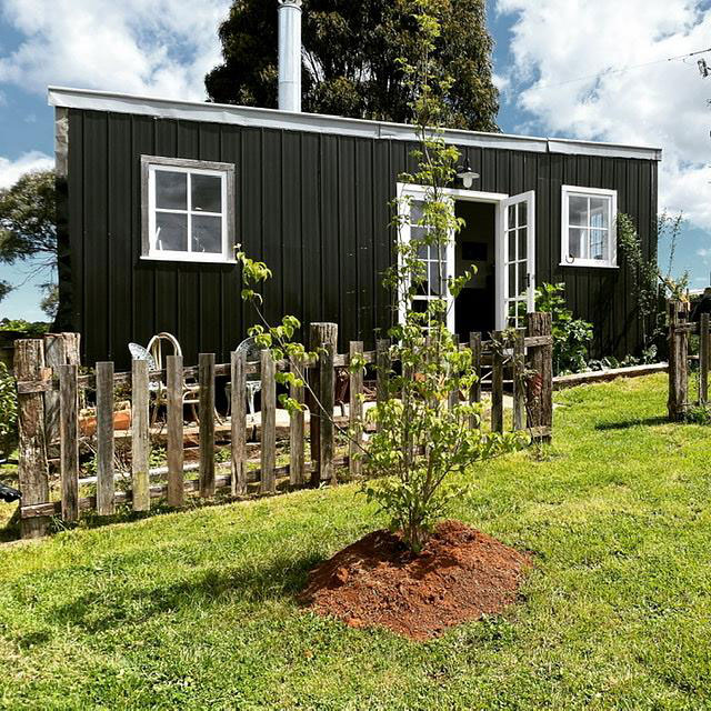 airbnb cabins